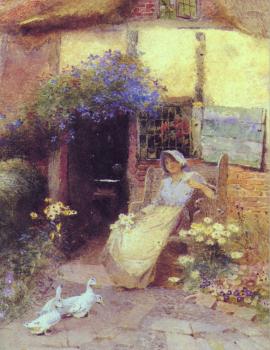 Daisies by the cottage door